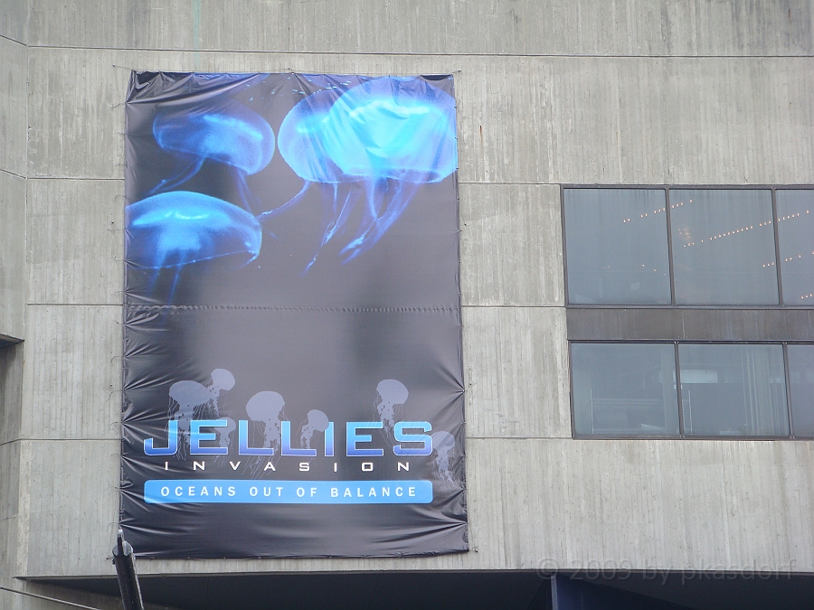 Baltimore [2009 July 02] 098.JPG - Scenes from Baltimore's Inner Harbor.